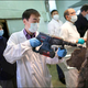 Illustration for article titled Russian scientists: We have a high chance of cloning a wooly mammoth